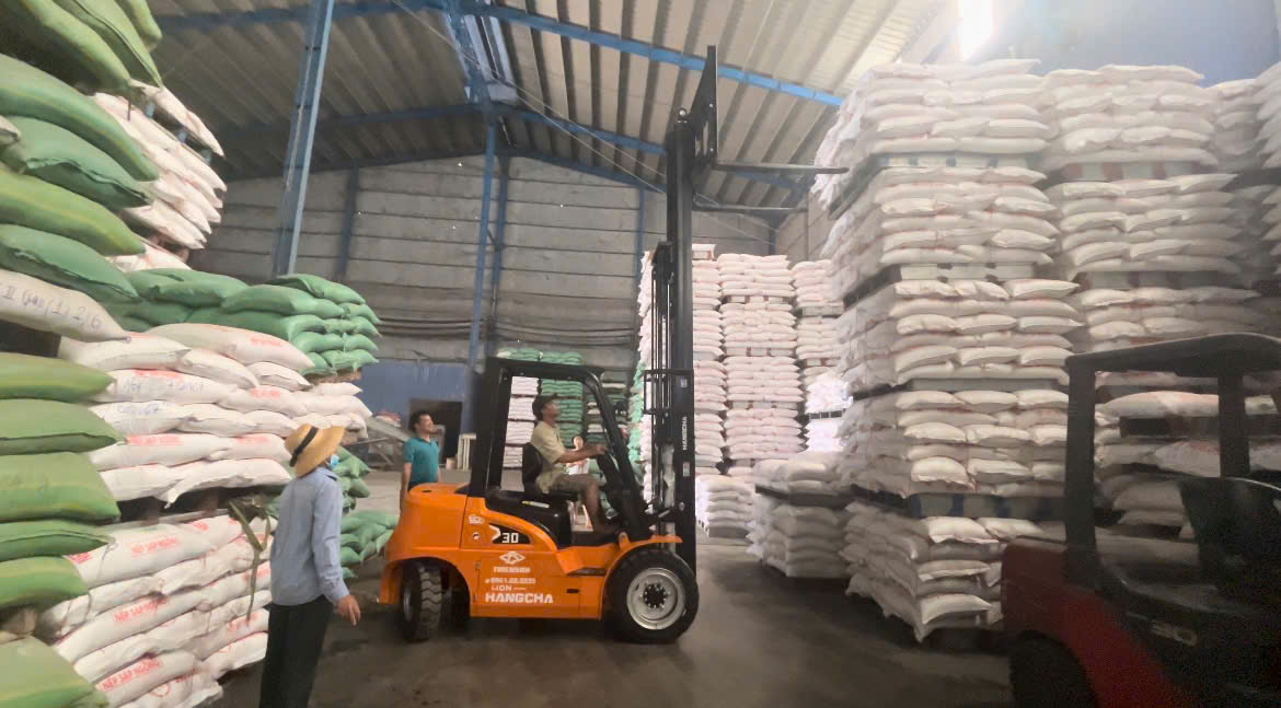 xe điện 3 tấn XE dành cho kho gạo