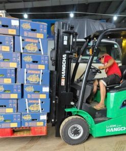 XE NÂNG ĐIỆN 1.5 TẤN LÀ LỰA CHỌN HÀNG ĐẦU CỦA CÁC NHÀ ĐẦU TƯ